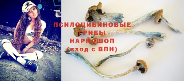 прущие крисы Армянск