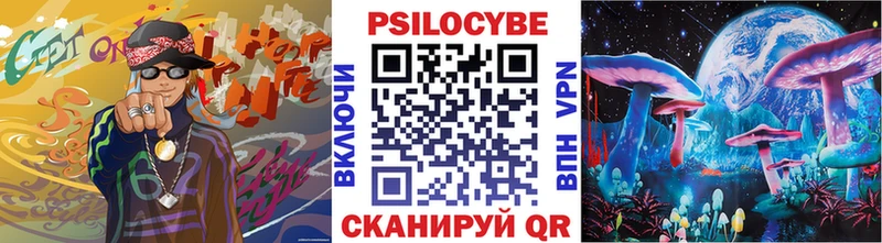 Купить Кашин Псилоцибиновые грибы Psilocybe